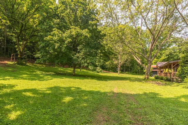 5191 Still House Hollow Rd, Franklin, TN 37064 - view of green lawn