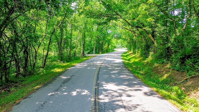 5191 Still House Hollow Rd, Franklin, TN 37064 - view of asphalt street with a forest view