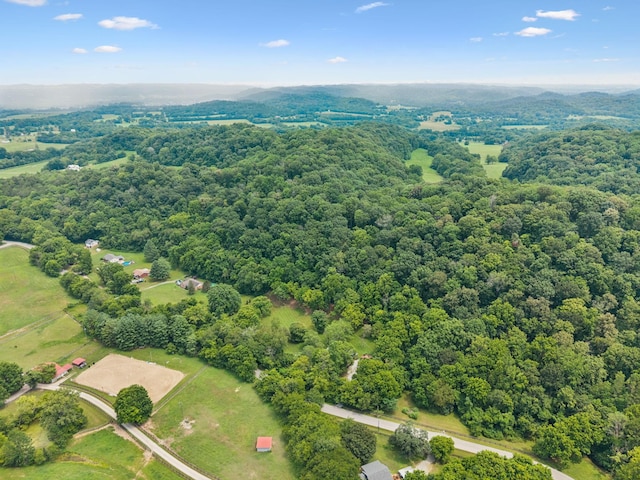 5191 Still House Hollow Rd, Franklin, TN 37064 - photo 72