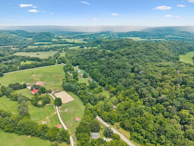 5191 Still House Hollow Rd, Franklin, TN 37064 - photo 71
