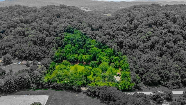 5189 Still House Hollow Rd, Franklin, TN 37064 - photo 10