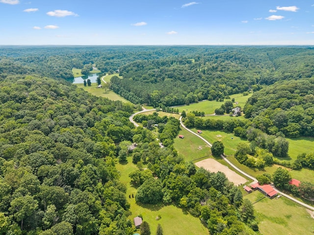 5189 Still House Hollow Rd, Franklin, TN 37064 - photo 9