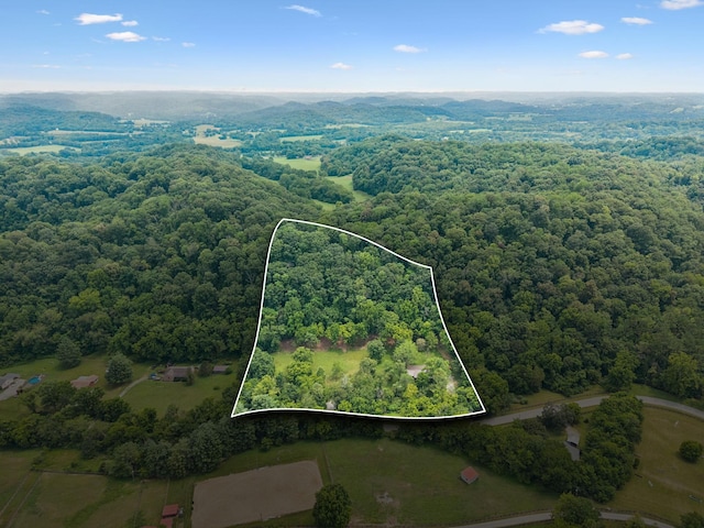 5189 Still House Hollow Rd, Franklin, TN 37064 - photo 1