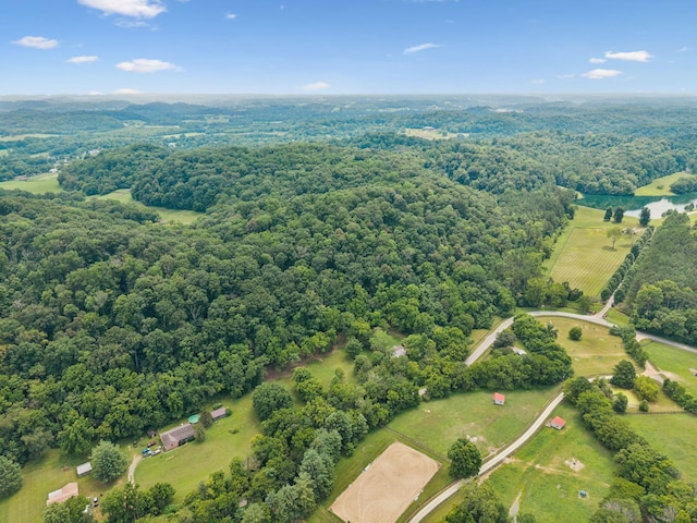 5189 Still House Hollow Rd, Franklin, TN 37064 - photo 7