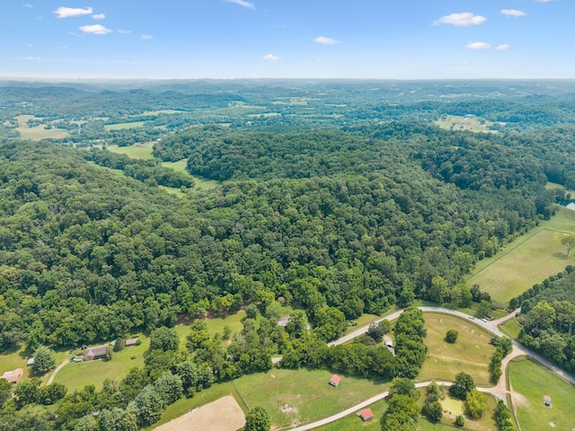 5189 Still House Hollow Rd, Franklin, TN 37064 - photo 67