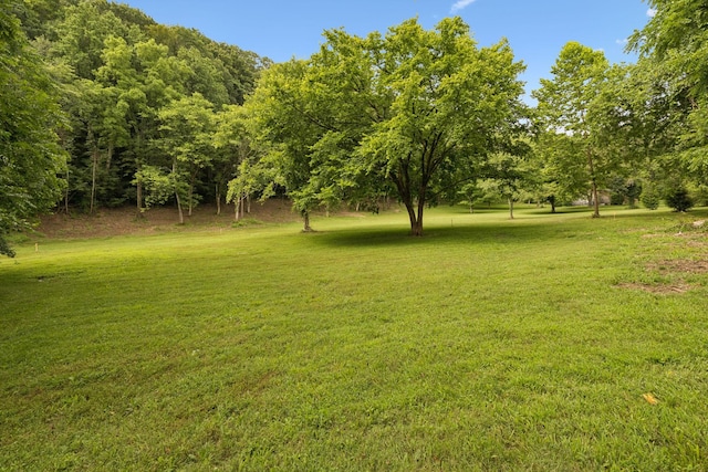 5189 Still House Hollow Rd, Franklin, TN 37064 - photo 58