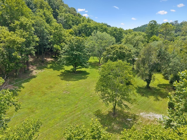 5189 Still House Hollow Rd, Franklin, TN 37064 - photo 65