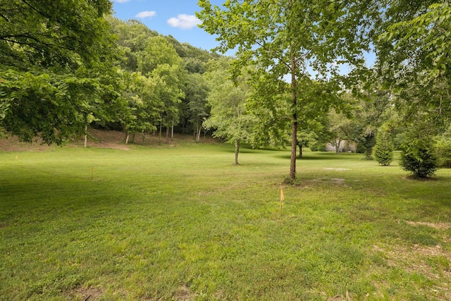 5189 Still House Hollow Rd, Franklin, TN 37064 - photo 57