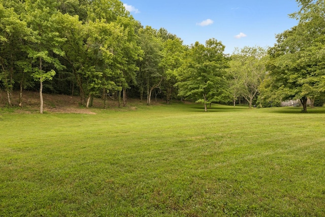 5189 Still House Hollow Rd, Franklin, TN 37064 - photo 59