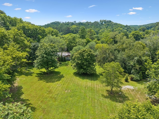 5189 Still House Hollow Rd, Franklin, TN 37064 - photo 11