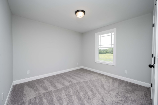 135 Bruce Meadows Dr, Beechgrove, TN 37018 - unfurnished room with carpet
