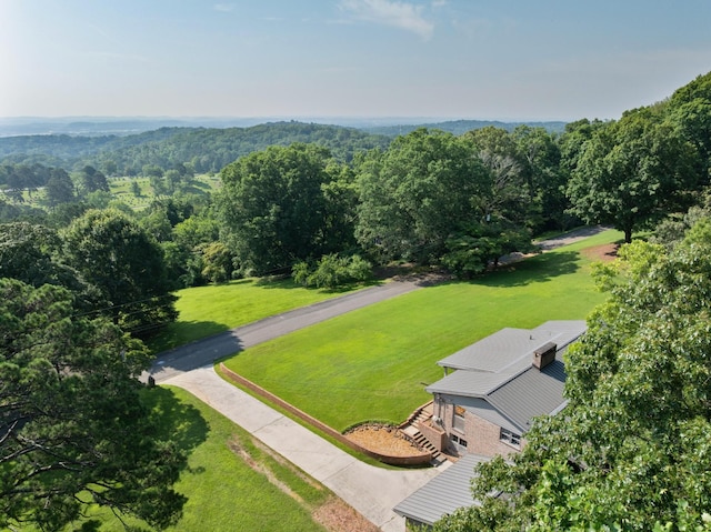 2411 Woolson Rd, Chattanooga, TN 37406 - view from above of property featuring a forest