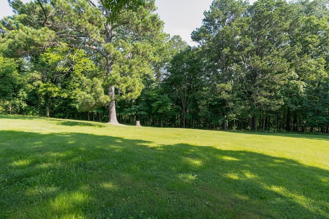 2411 Woolson Rd, Chattanooga, TN 37406 - view of grassy yard