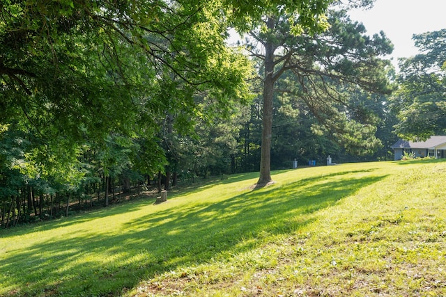 2411 Woolson Rd, Chattanooga, TN 37406 - view of green lawn