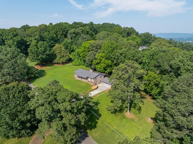 2411 Woolson Rd, Chattanooga, TN 37406 - aerial view of property and surrounding area with a heavily wooded area
