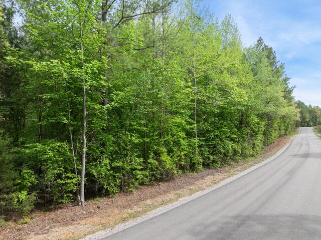 0 Curtis Hill Church Rd, Bethel Springs, TN 38315 - photo 3