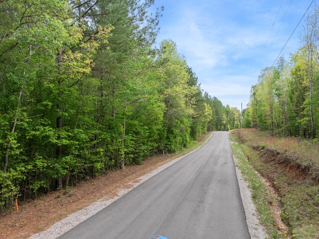 0 Curtis Hill Church Rd, Bethel Springs, TN 38315 - photo 6