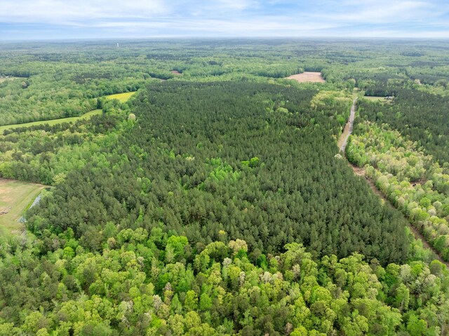 0 Curtis Hill Church Rd, Bethel Springs, TN 38315 - photo 12