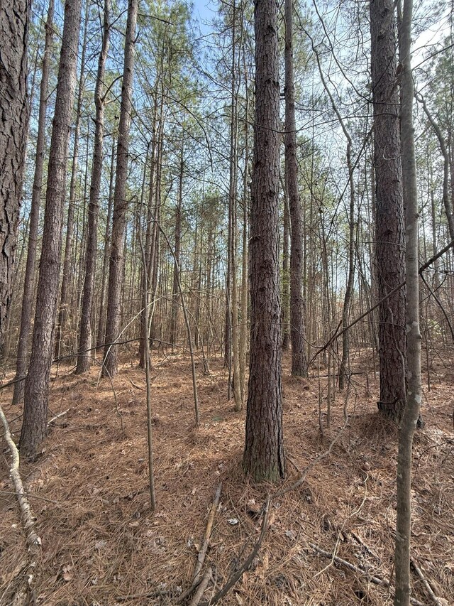 0 Curtis Hill Church Rd, Bethel Springs, TN 38315 - photo 10