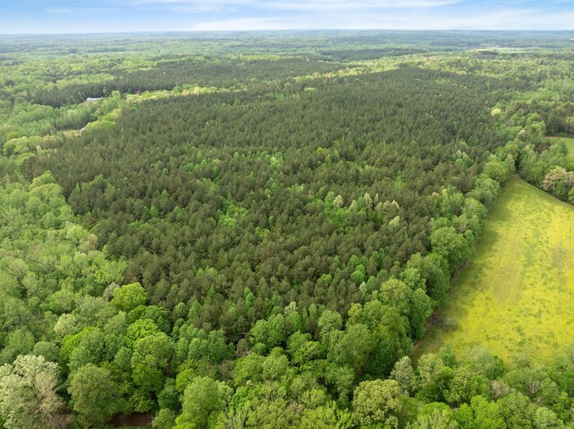 0 Curtis Hill Church Rd, Bethel Springs, TN 38315 - photo 14