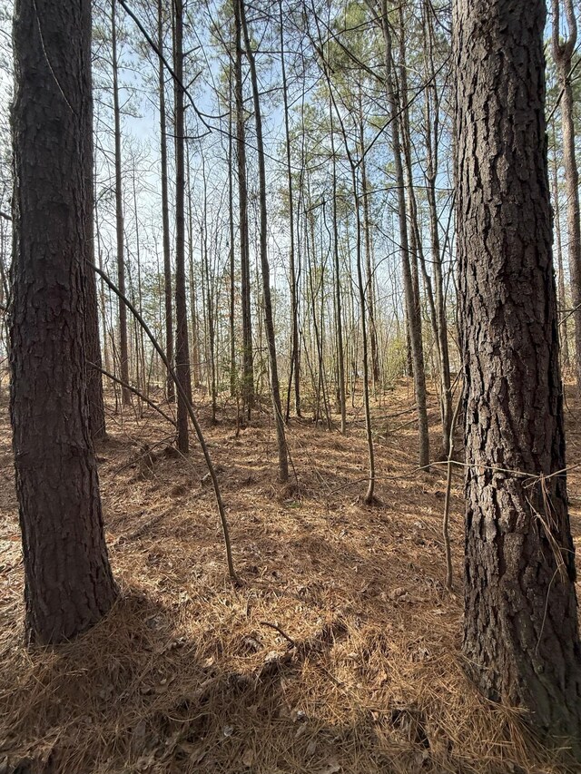 0 Curtis Hill Church Rd, Bethel Springs, TN 38315 - photo 11