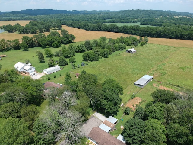 3330 Booker Farm Rd, Mount Pleasant, TN 38474 - aerial view of sparsely populated area