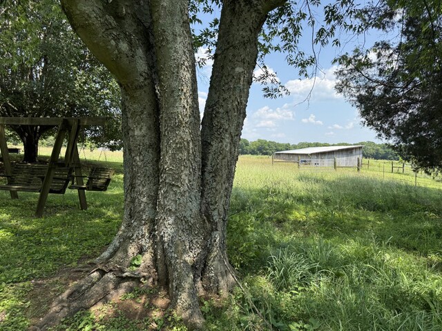 3330 Booker Farm Rd, Mount Pleasant, TN 38474 - view of yard featuring a rural view