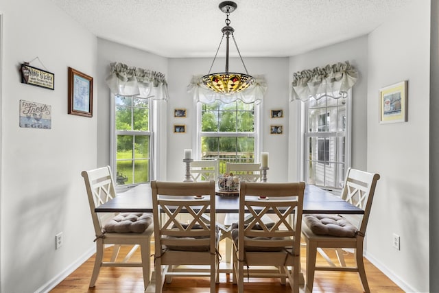 3330 Booker Farm Rd, Mount Pleasant, TN 38474 - dining space featuring wood finished floors and a textured ceiling