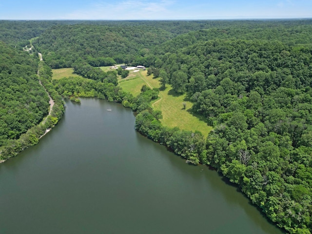 189 Cross Creek Dr, Manchester, TN 37355 - aerial view of a forest and a nearby body of water