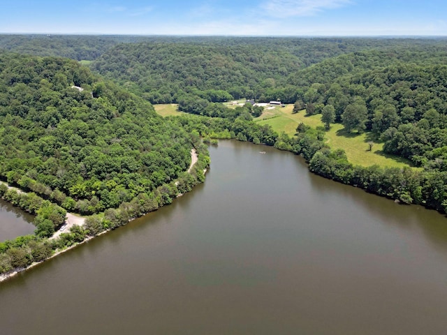 189 Cross Creek Dr, Manchester, TN 37355 - bird's eye view of a forest and a large body of water