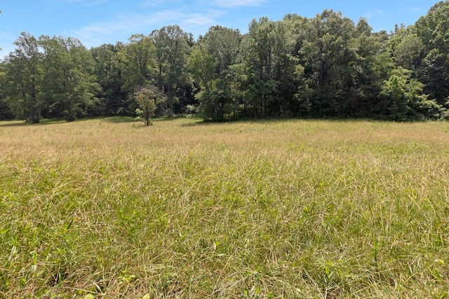 189 Cross Creek Dr, Manchester, TN 37355 - view of tree filled area