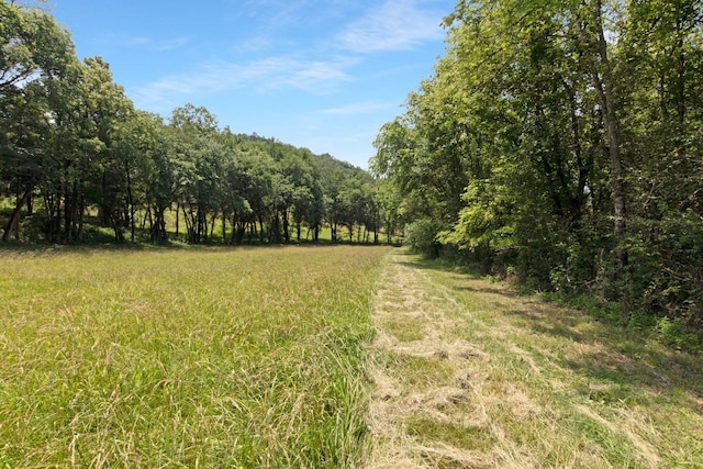 189 Cross Creek Dr, Manchester, TN 37355 - view of yard featuring a view of trees