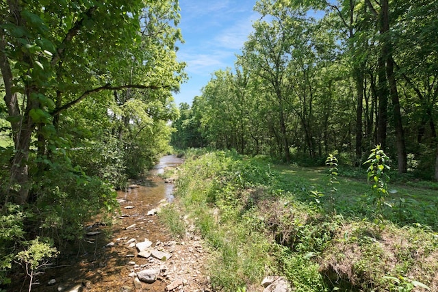 189 Cross Creek Dr, Manchester, TN 37355 - view of tree filled area