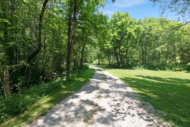 189 Cross Creek Dr, Manchester, TN 37355 - view of dirt / gravel road with a forest view