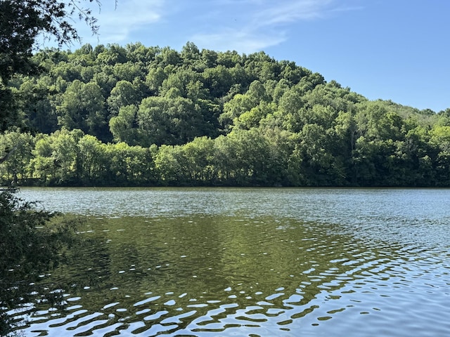 189 Cross Creek Dr, Manchester, TN 37355 - water view with a heavily wooded area