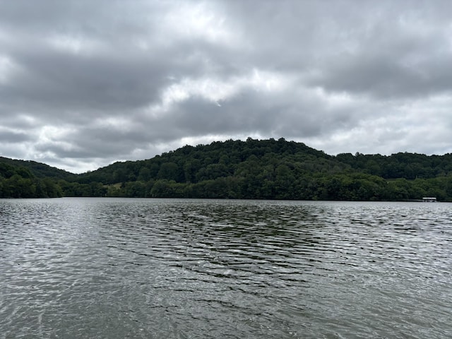 189 Cross Creek Dr, Manchester, TN 37355 - water view featuring a heavily wooded area