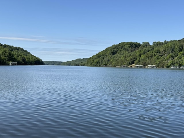 189 Cross Creek Dr, Manchester, TN 37355 - water view with a forest