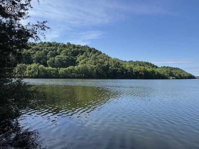 189 Cross Creek Dr, Manchester, TN 37355 - photo 2