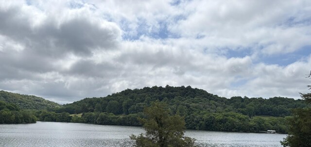 189 Cross Creek Dr, Manchester, TN 37355 - photo 52