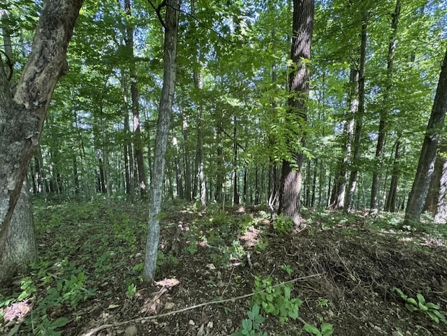 189 Cross Creek Dr, Manchester, TN 37355 - photo 58