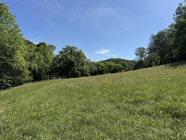 189 Cross Creek Dr, Manchester, TN 37355 - photo 56