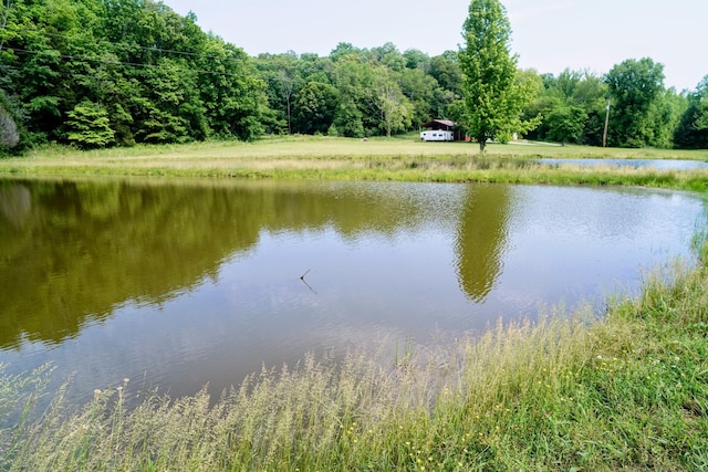 450 Lowe Branch Rd, Centerville, TN 37033 - water view with a heavily wooded area