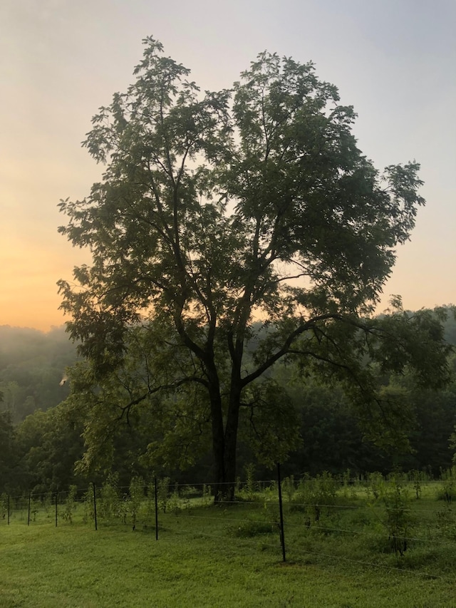 450 Lowe Branch Rd, Centerville, TN 37033 - view of nature at dusk