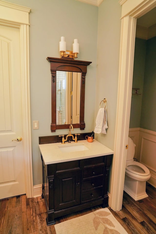 450 Lowe Branch Rd, Centerville, TN 37033 - bathroom with vanity, wood finished floors, ornamental molding, and wainscoting
