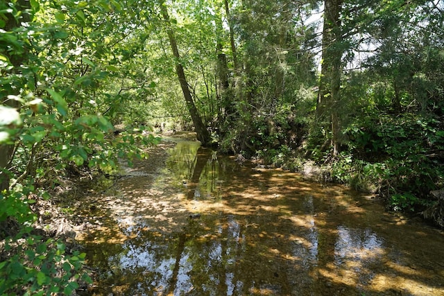 450 Lowe Branch Rd, Centerville, TN 37033 - view of undeveloped land