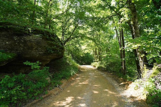 450 Lowe Branch Rd, Centerville, TN 37033 - view of road with a wooded view