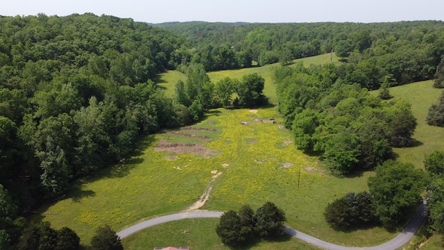 450 Lowe Branch Rd, Centerville, TN 37033 - drone / aerial view of a heavily wooded area