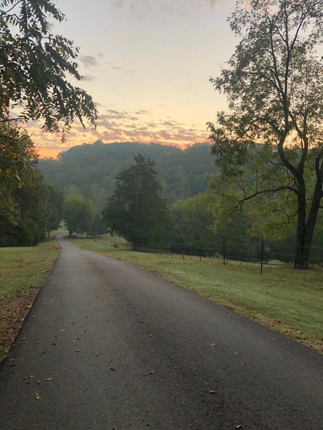 450 Lowe Branch Rd, Centerville, TN 37033 - view of asphalt road with a forest view
