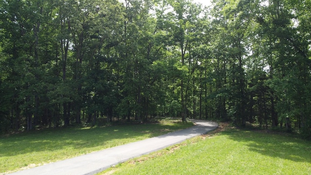 450 Lowe Branch Rd, Centerville, TN 37033 - view of street with a view of trees