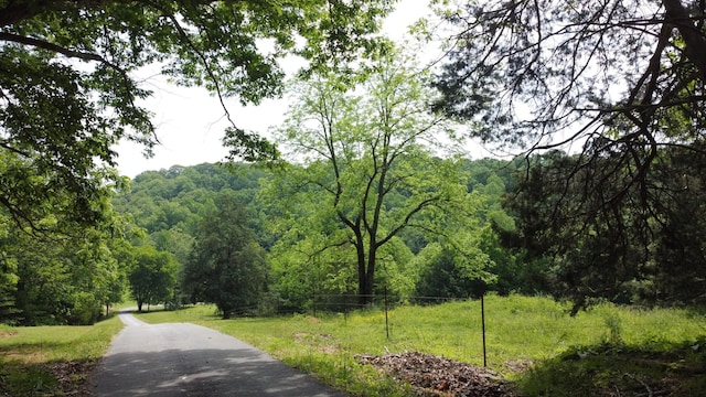 450 Lowe Branch Rd, Centerville, TN 37033 - view of home's community with a view of trees